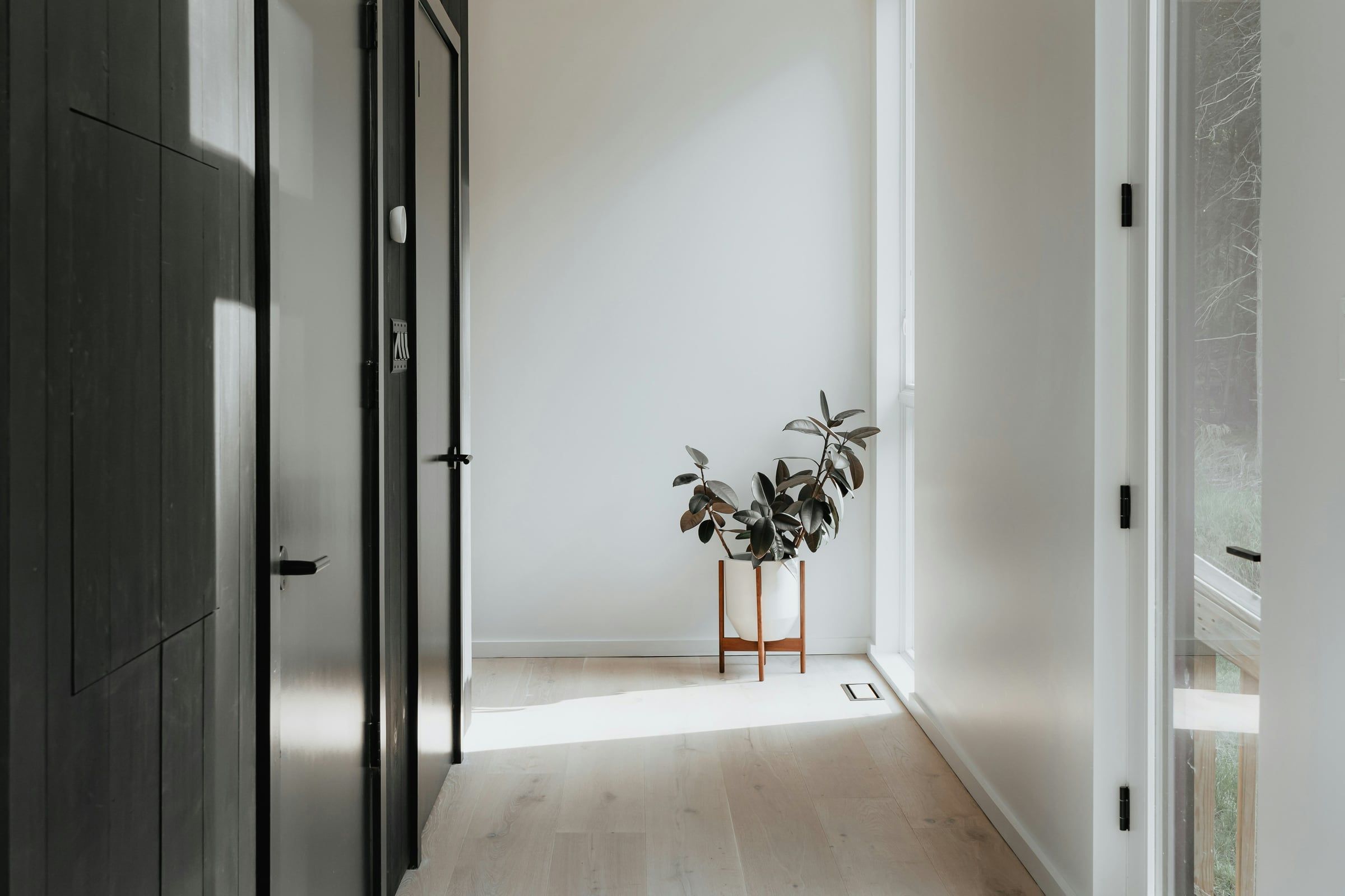 Photo d’illustration : un couloir clair, une porte ouverte et une plante dans la lumière.