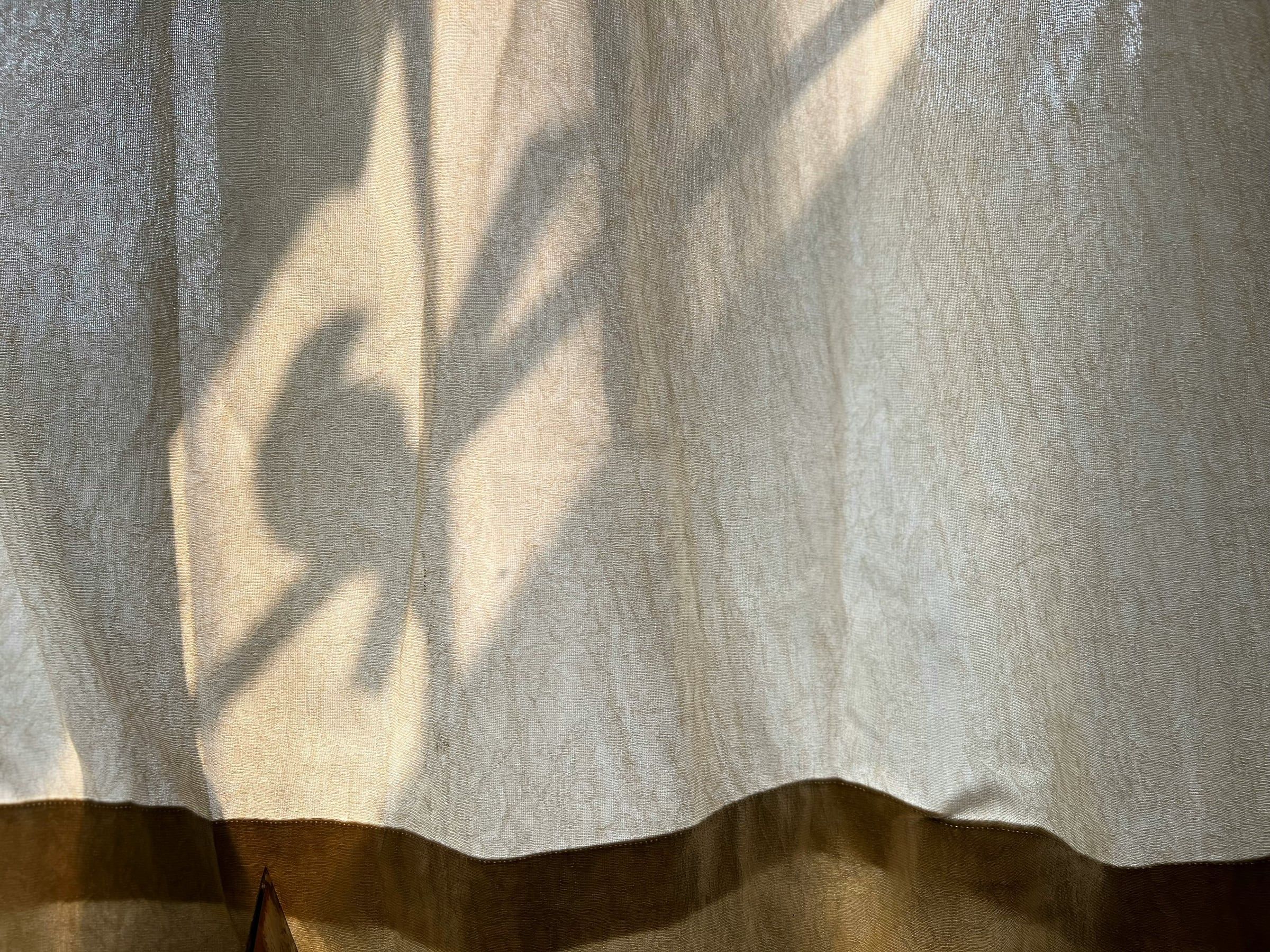 Photo d’illustration : l’ombre d’une plante se dessine sur un rideau de lin.