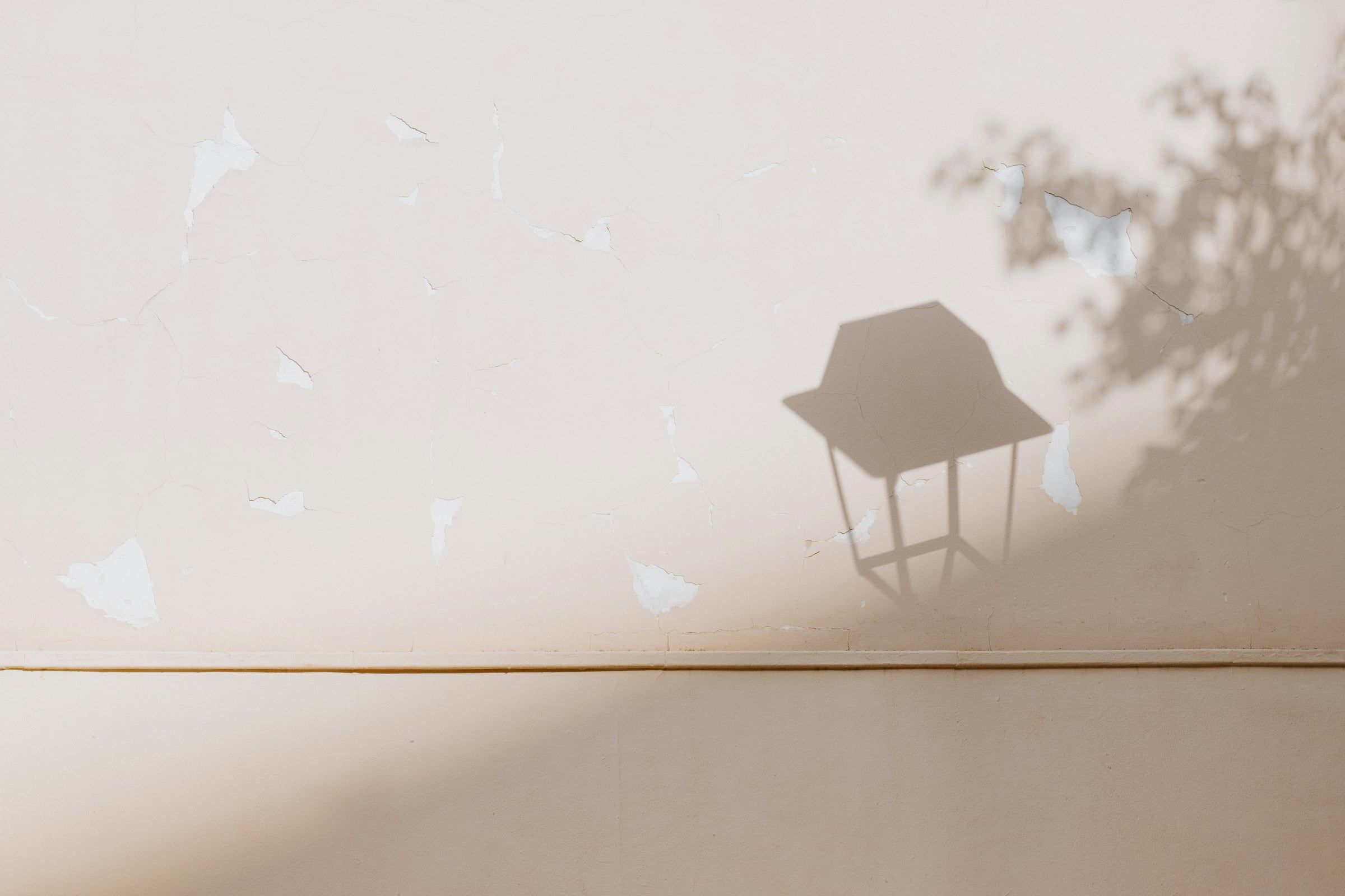 Photo d’illustration : l’ombre d’un feuillage et d’une lanterne sur un mur clair.